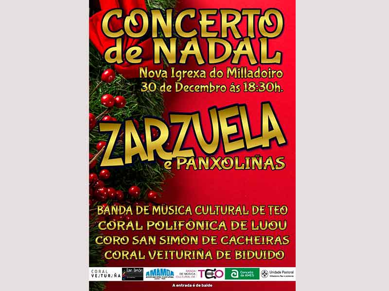 Concierto de Navidad – Zarzuela e Panxoliñas – Galería de Fotos